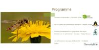 Apercu de la ressource Cycle de webinaires « Les fausses bonnes idées » #2. Les abeilles domestiques vs les pollinisateurs sauvages