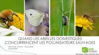Apercu de la ressource Les abeilles domestiques vs les pollinisateurs sauvages - Concepts fondamentaux