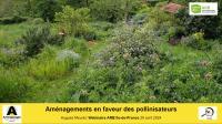 Apercu de la ressource Agir en faveur des pollinisateurs sauvages