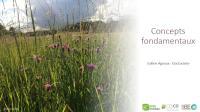 Apercu de la ressource Prairies fleuries - Concepts fondamentaux