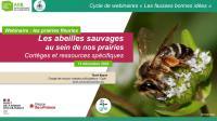 Apercu de la ressource Les abeilles sauvages au sein de nos prairies : cortèges et ressources spécifiques