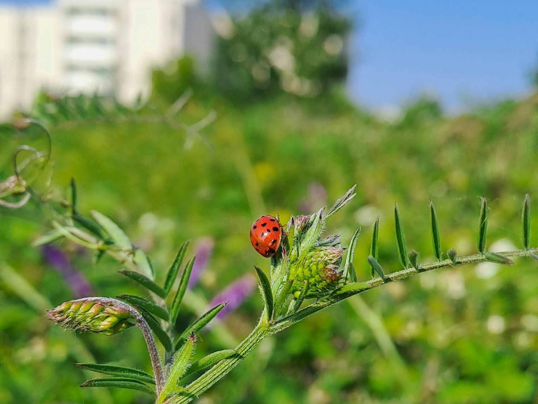 Partage de ressources pour l'axe 3 du Plan national en faveur des ...
