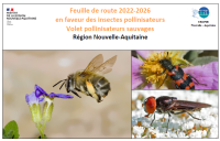 Apercu de la ressource Feuille de route 2022-2026 en faveur des insectes pollinisateurs - volet pollinisateurs sauvages