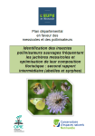 Apercu de la ressource Identification des pollinisateurs sauvages fréquentant les jachères messicoles et optimisation de leur composition floristique (abeilles et syrphes)