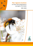 Apercu de la ressource Plan régional d'action en faveur des pollinisateurs sauvages d'Occitanie 2021-2030