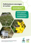 Apercu de la ressource Pollinisateurs sauvages et ruches - Comment agir au sein de mon entreprise