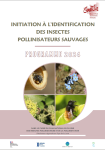 Apercu de la ressource Programme 2024 pour l'identification des pollinisateurs sauvages - Pays de la Loire