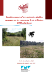 Apercu de la ressource Deuxième année d'inventaire des abeilles sauvages sur les campus de Brest et Nantes d'IMT Atlantique