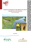 Apercu de la ressource Etude des hyménoptères et des diptères des réserves naturelles du lac de Grand-Lieu