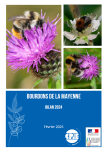 Apercu de la ressource Bourdons de la Mayenne - Bilan 2024
