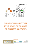 Apercu de la ressource Guide pour la récolte et le semis de graines de plantes sauvages