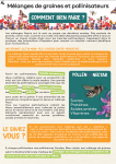 Apercu de la ressource Mélange de graines et pollinisateurs - Comment bien faire ?
