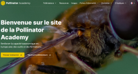 Apercu de la ressource Site de la Pollinator Academy