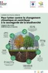 Apercu de la ressource L'arbre en milieu urbain - Pour lutter contre le changement climatique et contribuer à la sauvegarde de la biodiversité