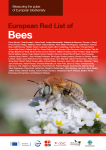 Apercu de la ressource Liste rouge européenne des abeilles
