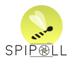 Apercu de la ressource Spipoll - Suivi photographique des insectes pollinisateurs
