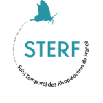 Apercu de la ressource Sterf : Suivi temporel des rhopalocères de France (papillons de jour)