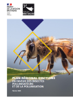 Apercu de la ressource Plan régional d'actions en faveur des insectes pollinisateurs et de la pollinisation (2026-2031)