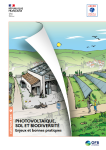 Apercu de la ressource Photovoltaïque, sol et biodiversité - enjeux et bonnes pratiques
