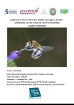 Apercu de la ressource Enjeux de conservation des abeilles sauvages sur un réseau de réserves naturelles - Analyse statistique