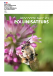 Apercu de la ressource Rencontre avec les pollinisateurs